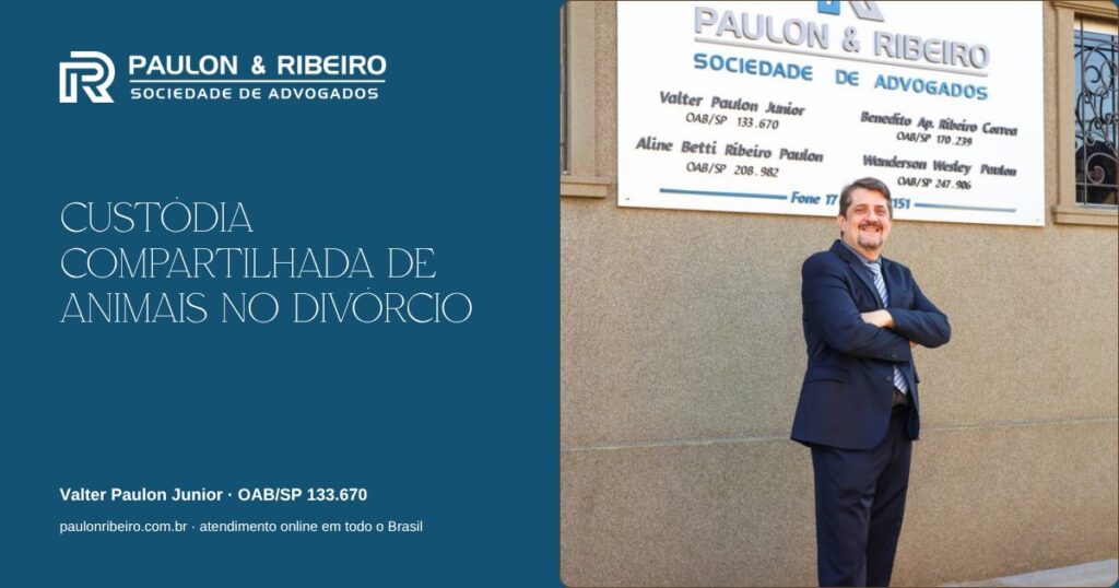 Custódia compartilhada de animais de estimação no divórcio - Valter Paulon Junior, Paulon & Ribeiro Advocacia