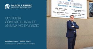 Custódia compartilhada de animais de estimação no divórcio - Valter Paulon Junior, Paulon & Ribeiro Advocacia